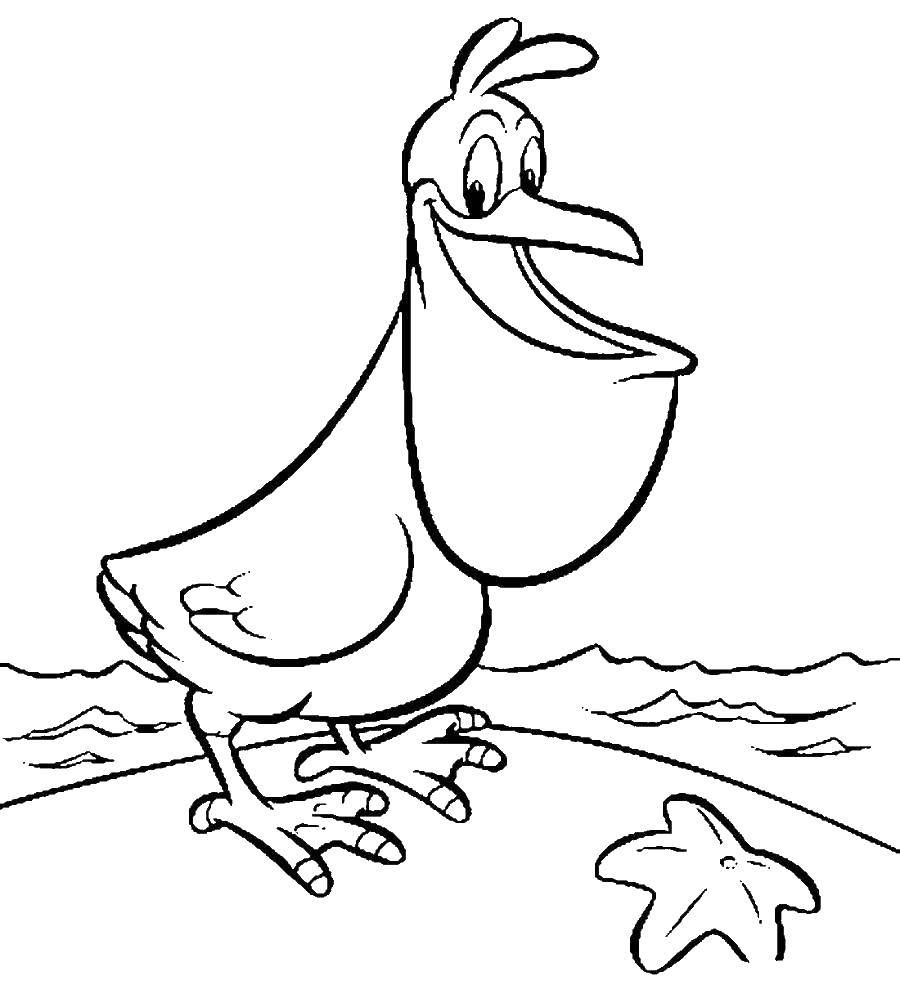 Название: Раскраска Пеликан на пляже. Категория: птицы. Теги: Пеликан, птица.