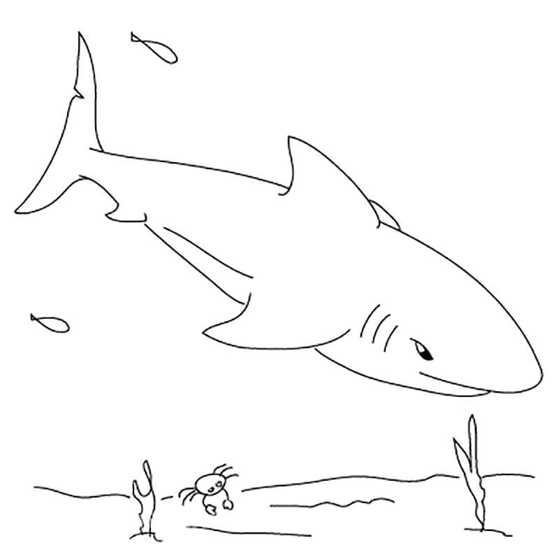 Coloring Shark with a large tail. Category marine. Tags:  Underwater, fish, shark.