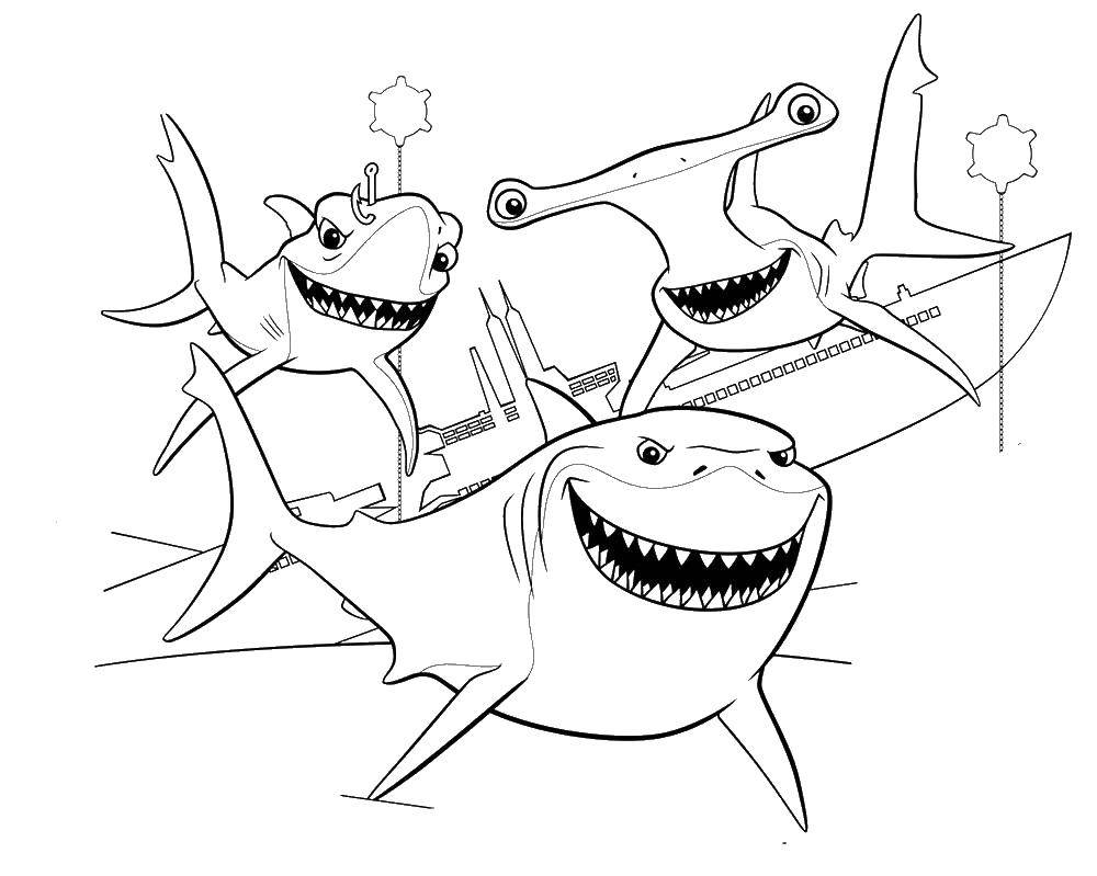 coloring pages and sharks and shark tales