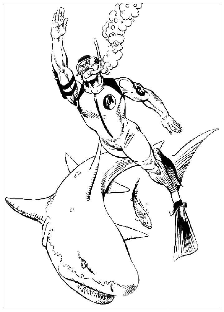 Coloring Scuba diver and shark. Category Sharks. Tags:  the shark, a scuba diver.