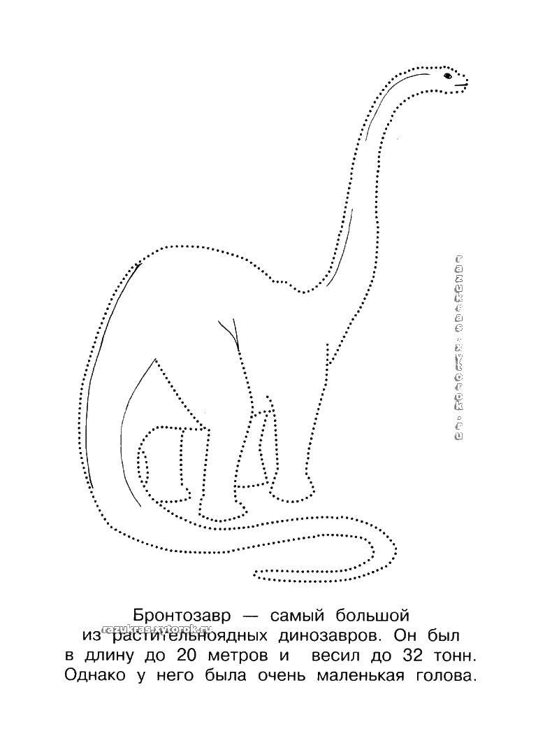 Название: Раскраска Бронтозавр. Категория: Контуры динозавров. Теги: бронтозавр.