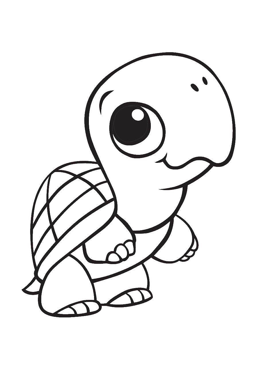 Название: Раскраска Черепашонок. Категория: Раскраски для малышей. Теги: Рептилия, черепаха.