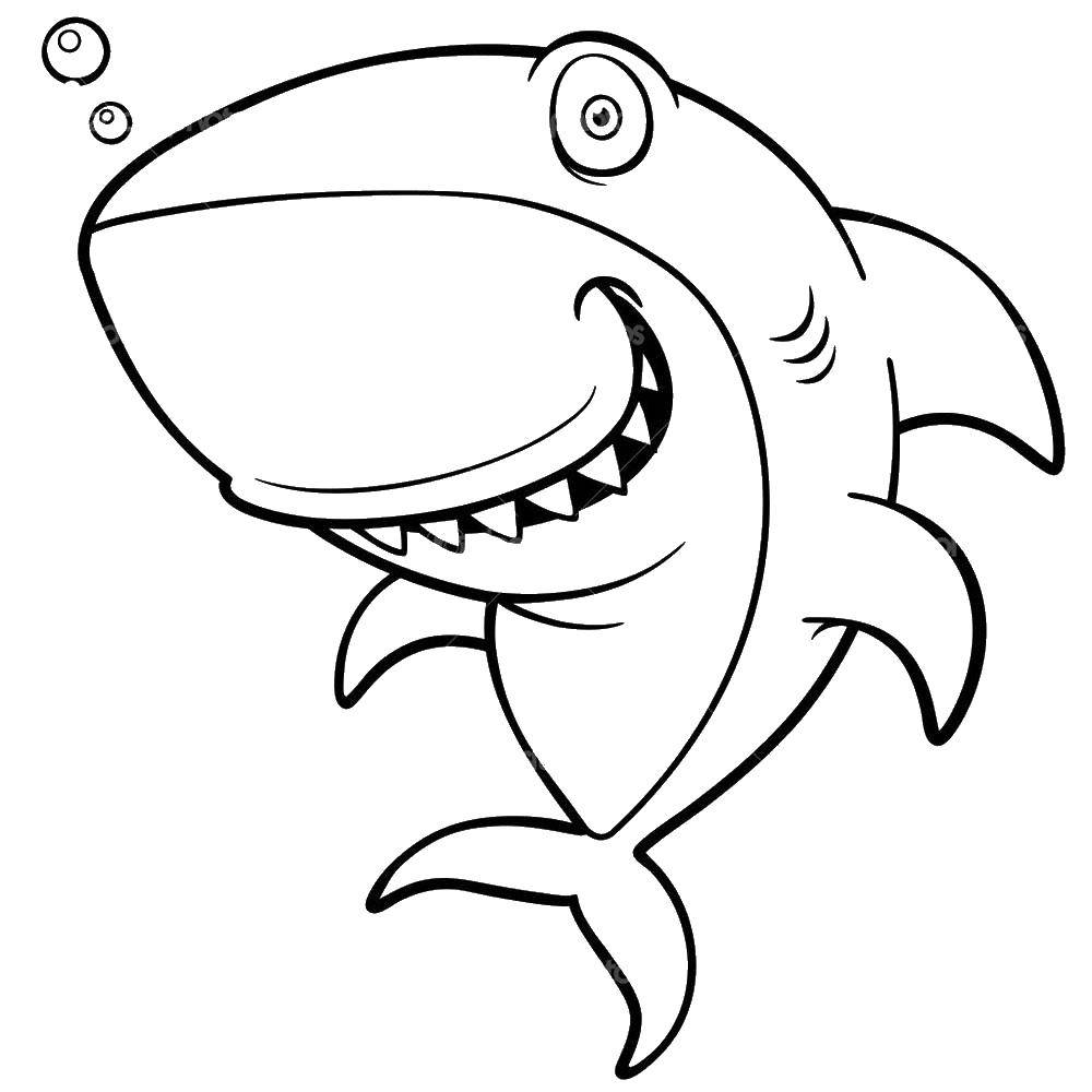 Coloring Good shark. Category marine. Tags:  Underwater, fish, shark.