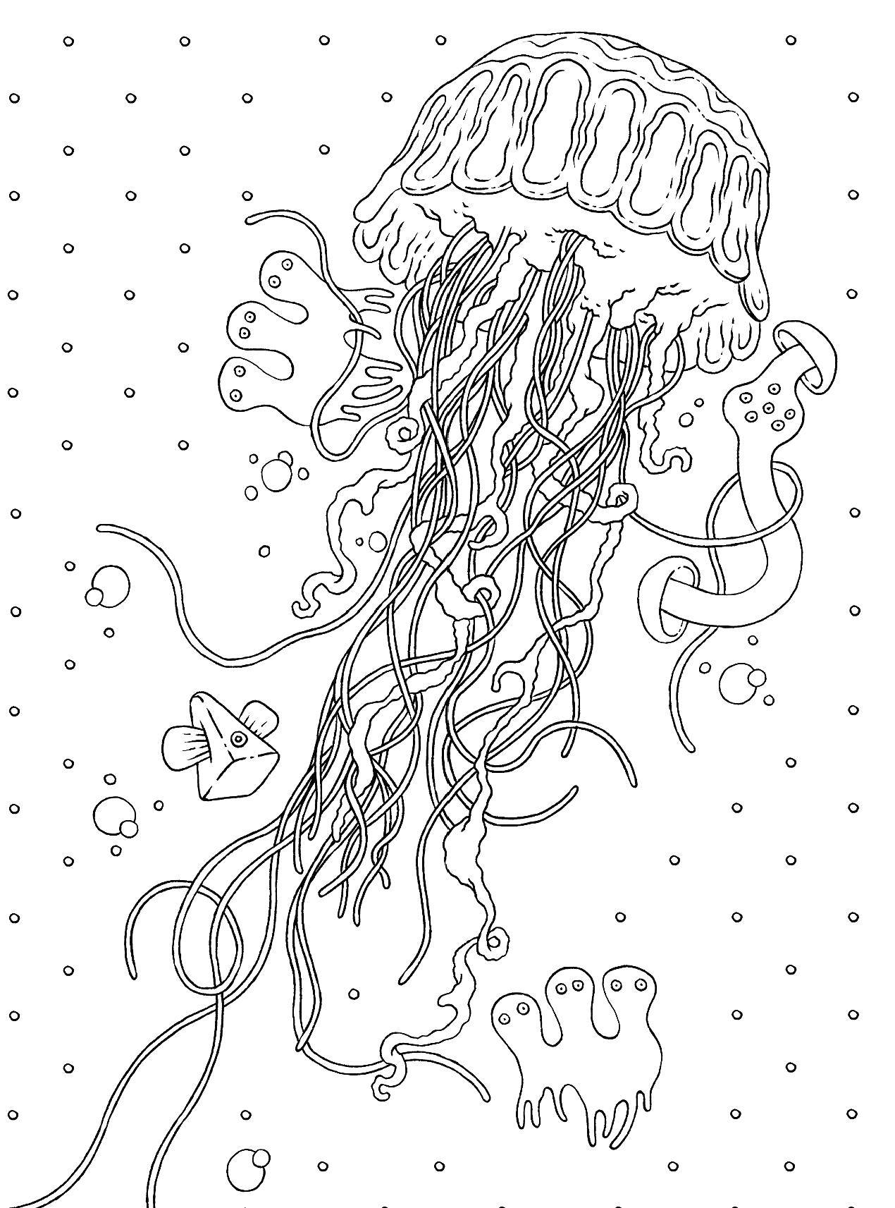 Название: Раскраска Гигантская медуза. Категория: медуза. Теги: Подводный мир, медуза.