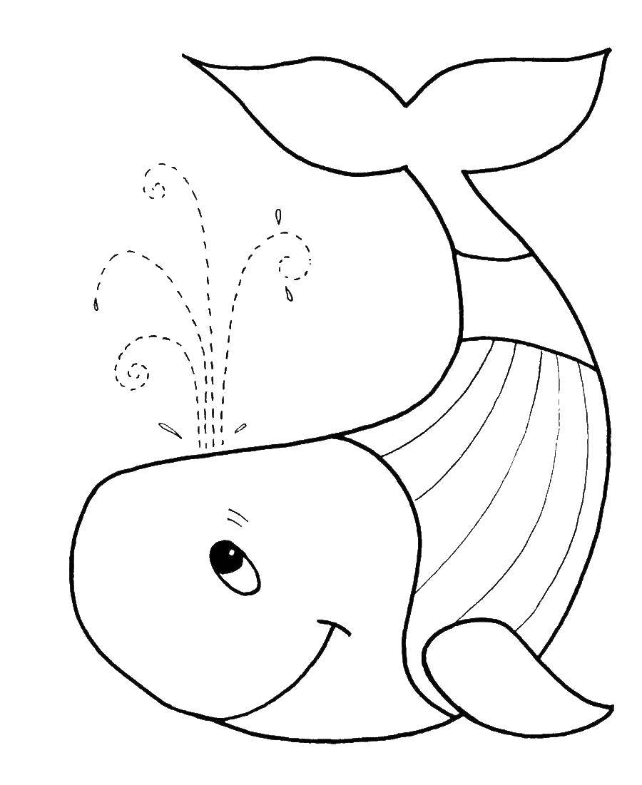 Название: Раскраска Кит пускает фонтанчик. Категория: Раскраски для малышей. Теги: Подводный мир, кит.