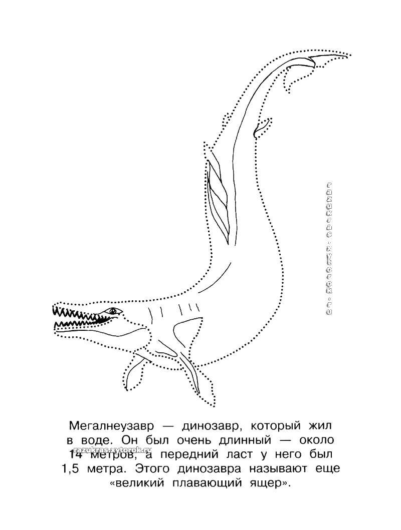 Coloring Megalneusaurus. Category The contours of the dinosaurs. Tags:  megalneusaurus.
