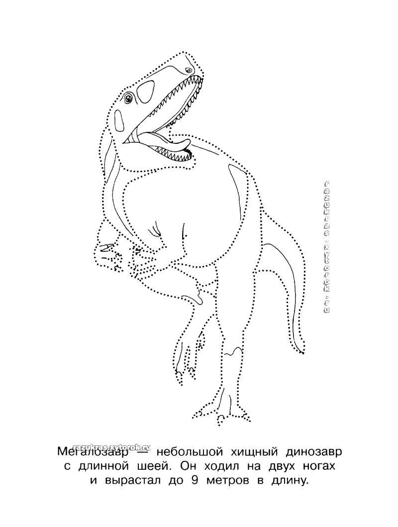 Coloring The megalosaur. Category The contours of the dinosaurs. Tags:  the megalosaur.
