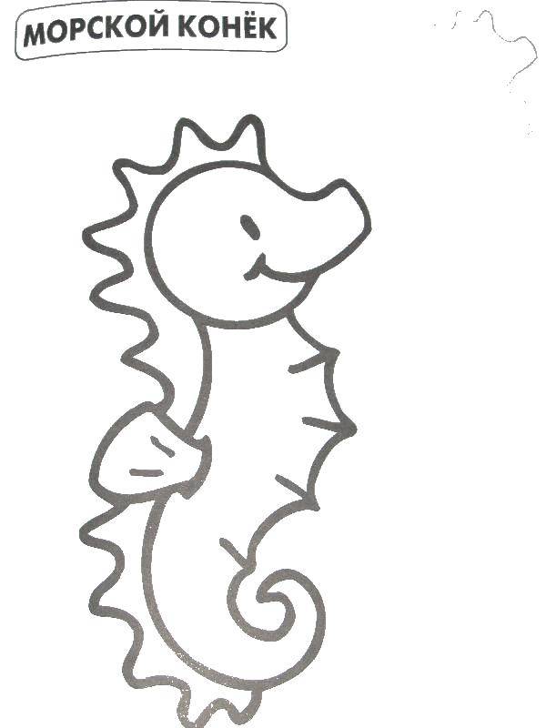 Название: Раскраска Морской конек. Категория: дикие животные. Теги: морской конек.