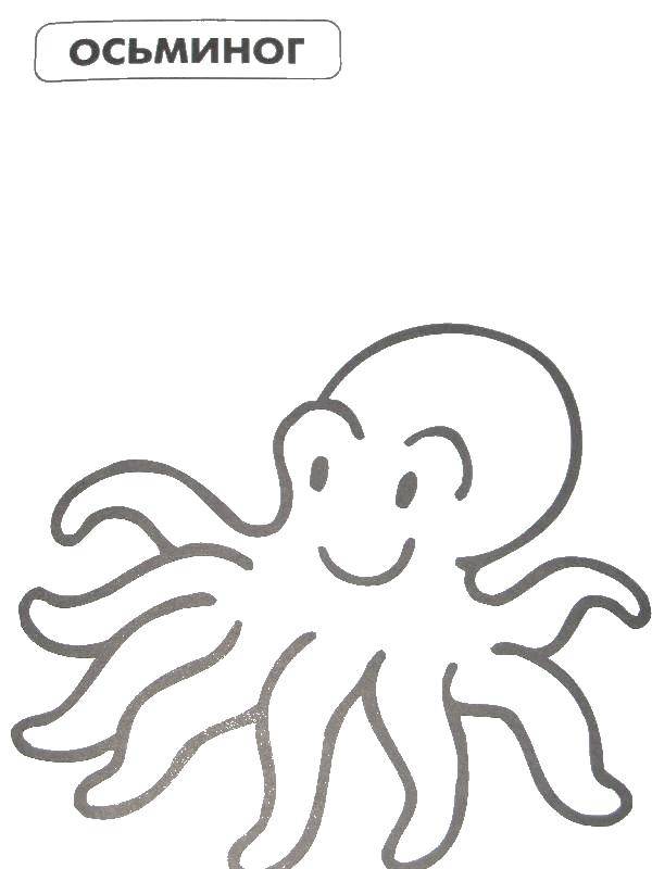 Coloring Octopus. Category wild animals. Tags:  octopus.