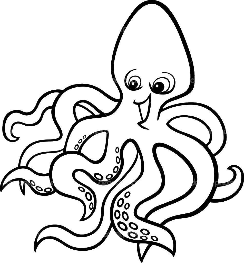 Coloring Octopus. Category wild animals. Tags:  octopus.