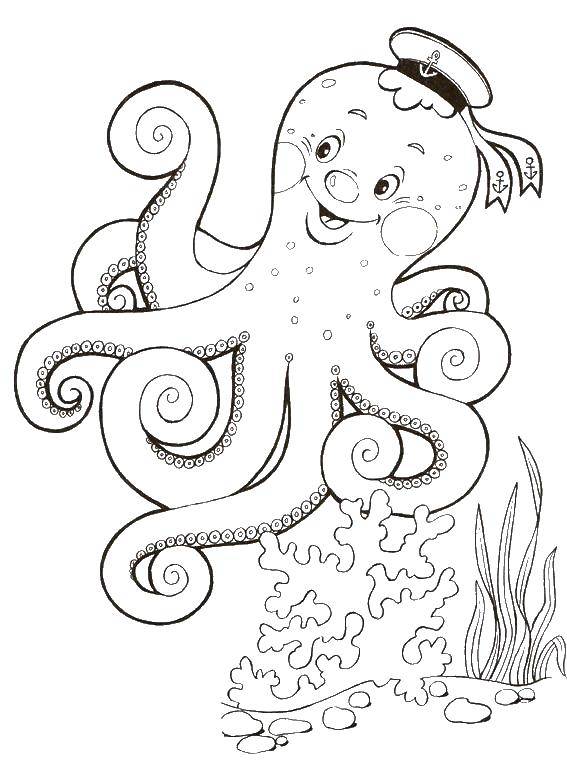 Coloring Osminog. Category marine. Tags:  Octopus.