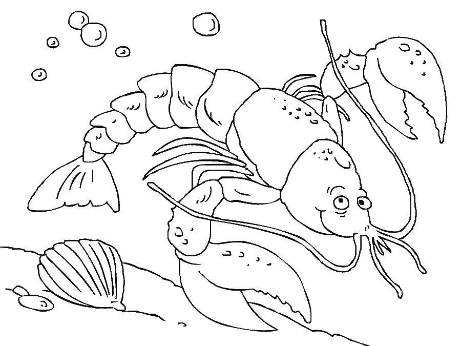 Coloring Cancer. Category marine. Tags:  crayfish.
