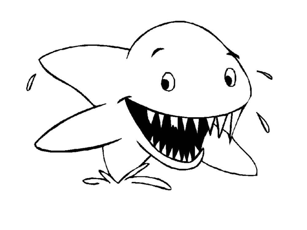 Coloring Toothy shark. Category marine. Tags:  Underwater, fish, shark.