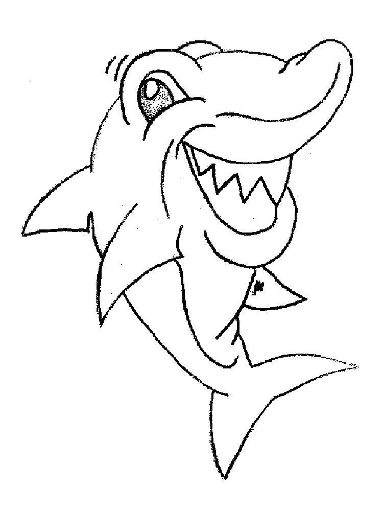 Coloring Shark. Category Sharks. Tags:  The shark.