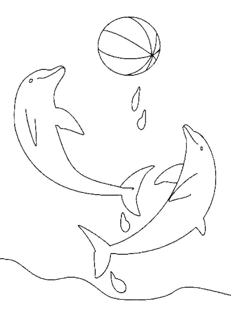 Название: Раскраска Дельфинчики играют с мячом в воде. Категория: морское. Теги: Подводный мир, дельфин.
