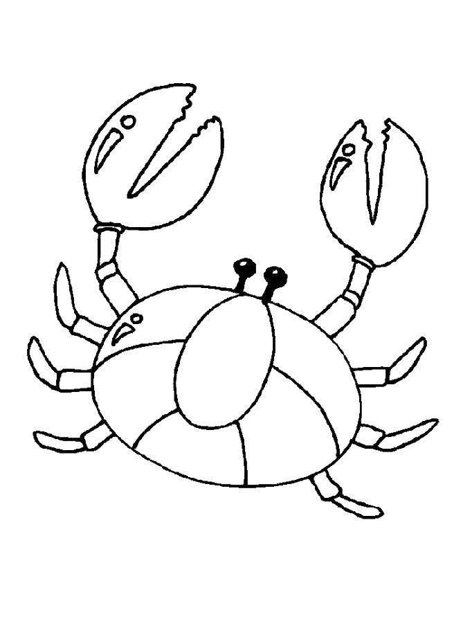 Coloring Crab claws. Category crab. Tags:  Underwater, crab.