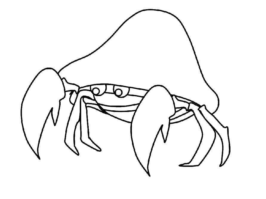 Coloring Crab armor. Category crab. Tags:  Underwater, crab.