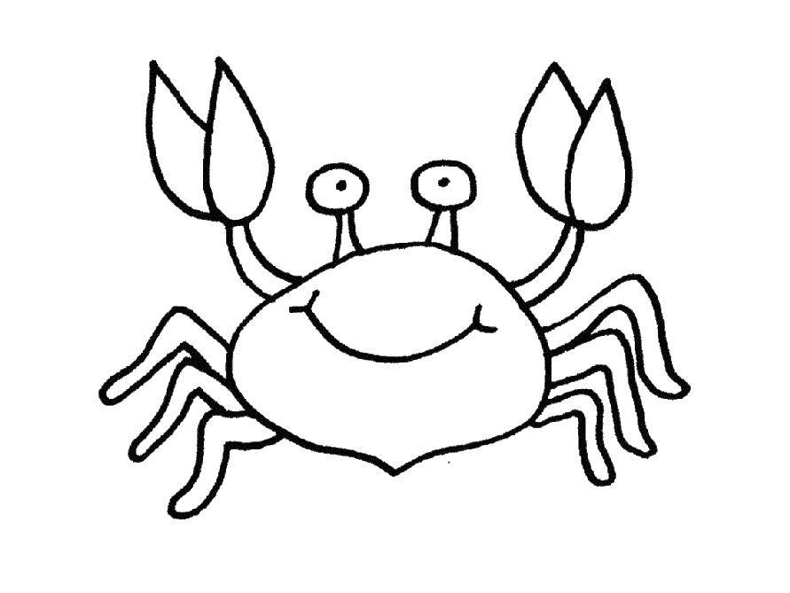 Coloring Crab. Category crab. Tags:  Underwater, crab.