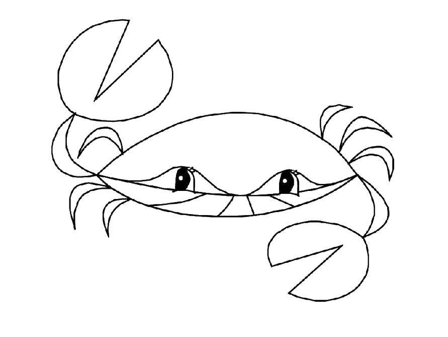 Coloring Crab. Category crab. Tags:  Underwater, crab.