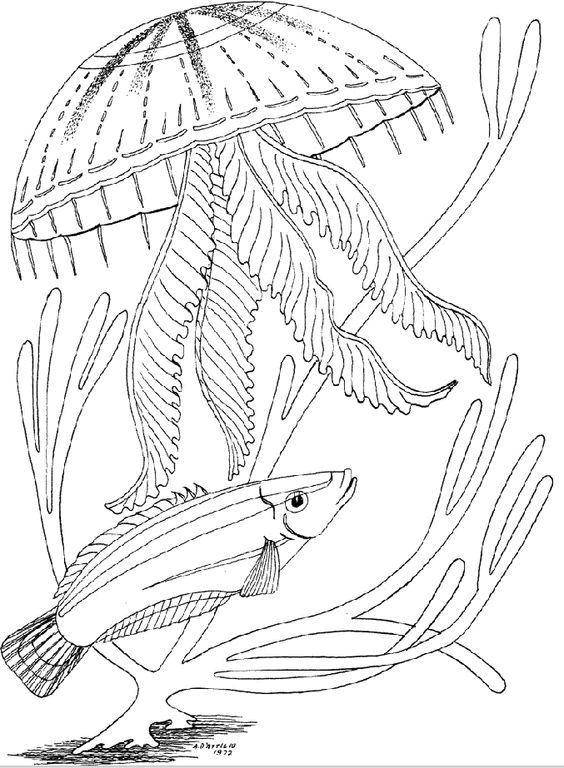 Название: Раскраска Медуза и рыбка. Категория: медуза. Теги: Подводный мир, рыба, медуза.