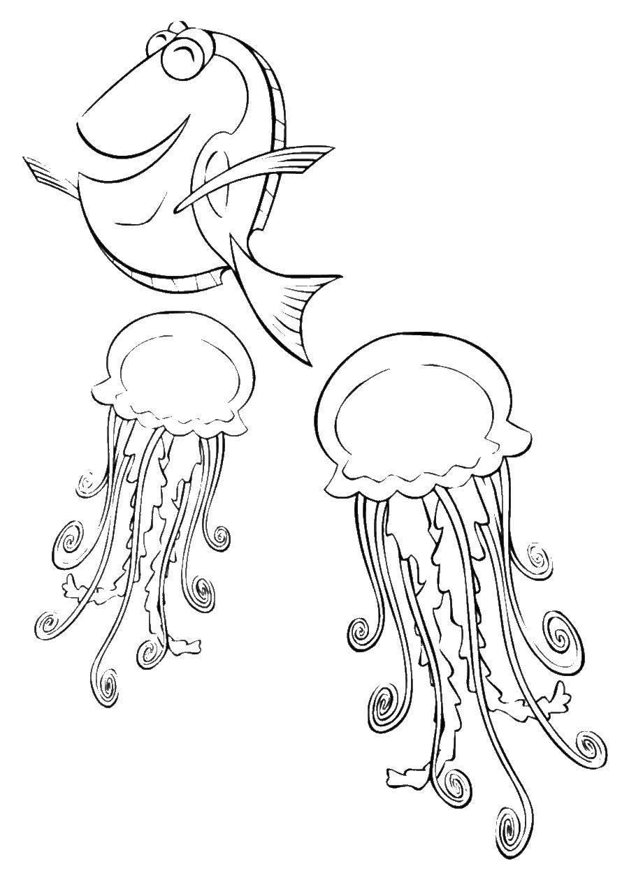 Coloring Jellyfish and fish. Category Medusa. Tags:  jellyfish, fish.