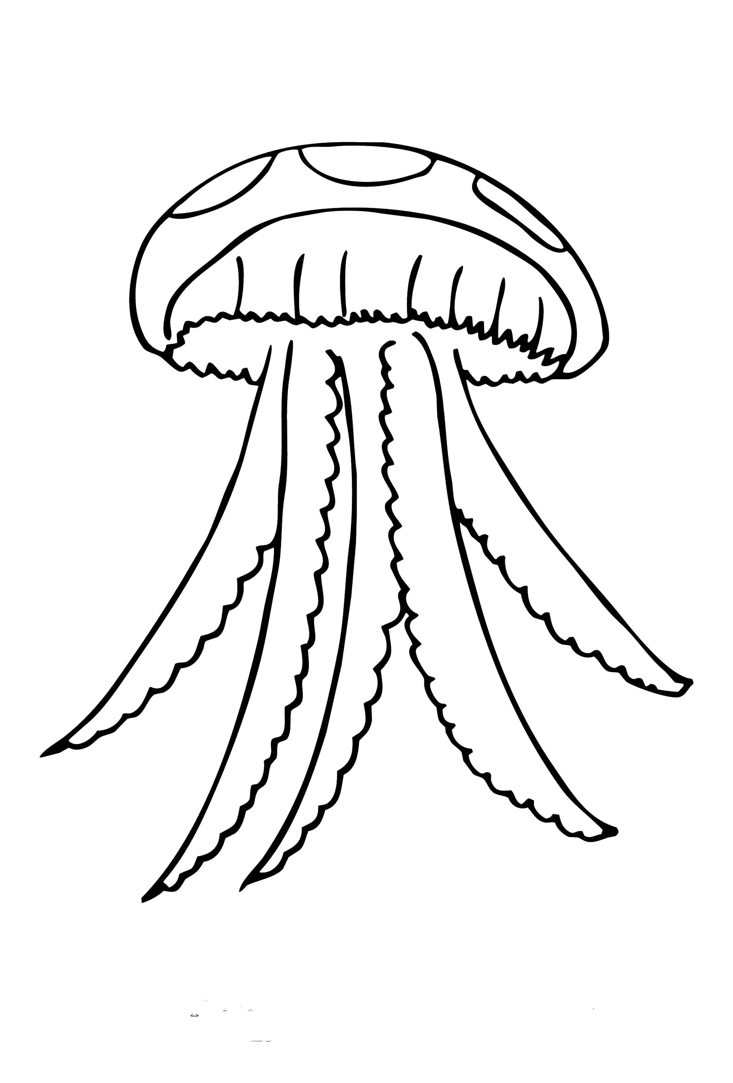 Название: Раскраска Медуза в океане. Категория: медуза. Теги: Подводный мир, медуза.