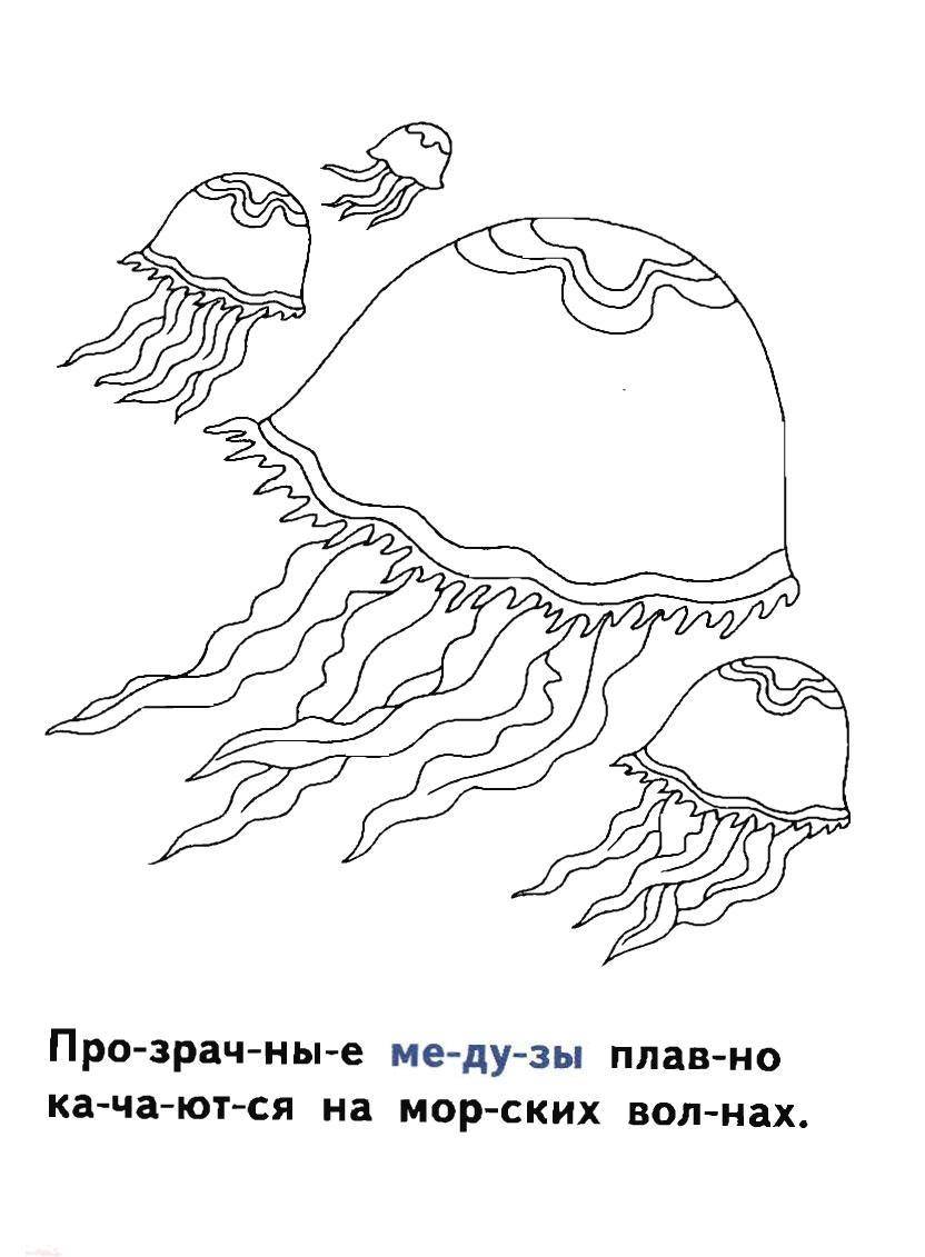 Название: Раскраска Медузы. Категория: медуза. Теги: Подводный мир, медуза.