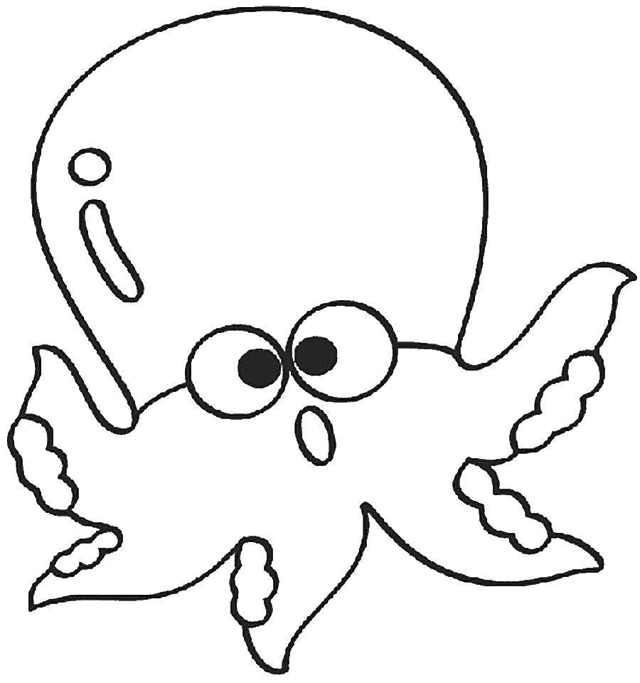 Название: Раскраска Осьминожка. Категория: морское. Теги: Подводный мир, осьминог.