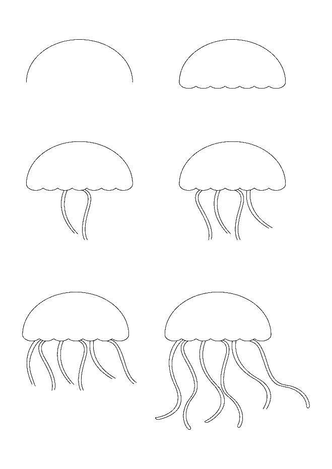 Название: Раскраска Рисуем медузу. Категория: медуза. Теги: Подводный мир, медуза.
