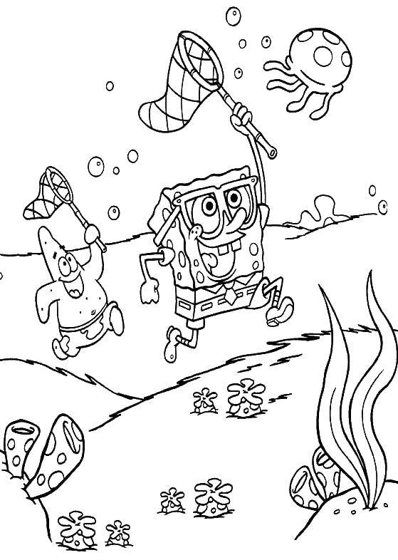 Coloring Spongebob and Patrick hunting jellyfish. Category Cartoon character. Tags:  Cartoon character, spongebob, spongebob, Patrick.