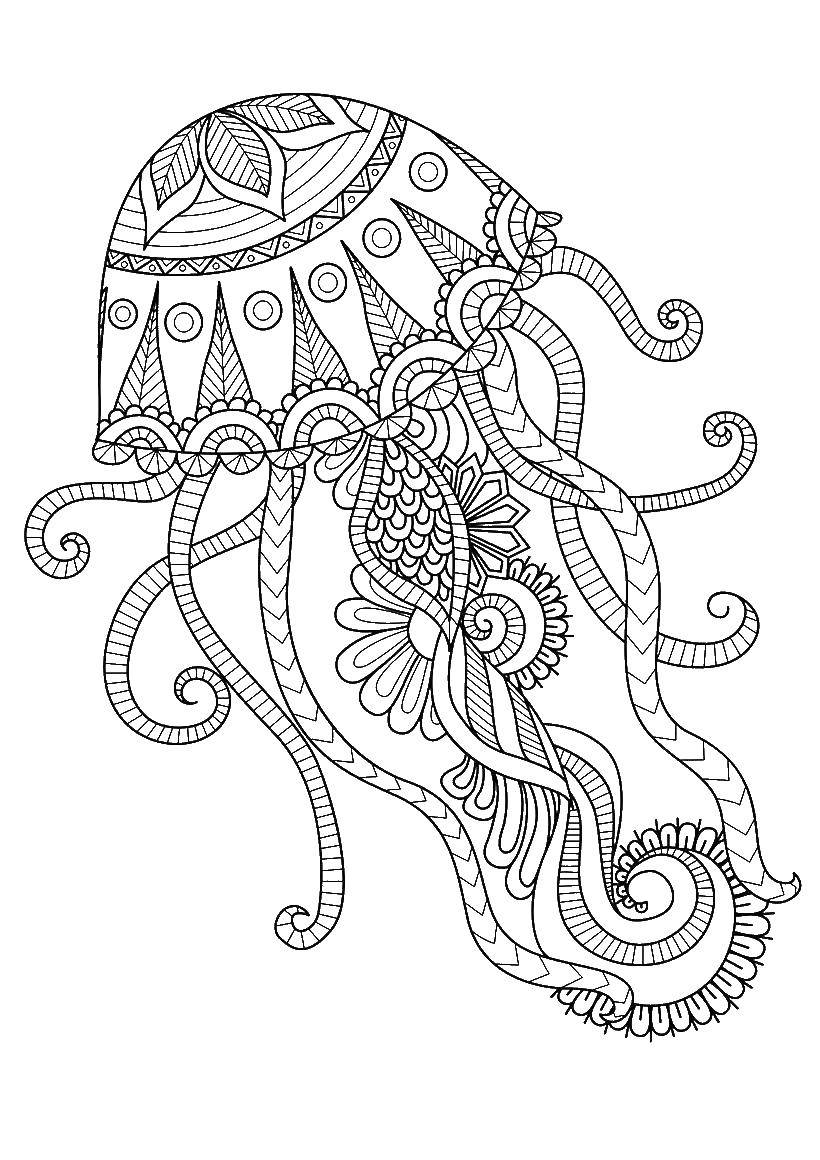 Название: Раскраска Узорная медуза. Категория: медуза. Теги: Узоры, медуза.