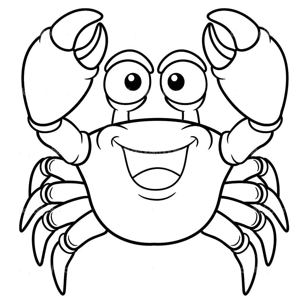 Coloring Funny crab. Category crab. Tags:  Underwater, crab.