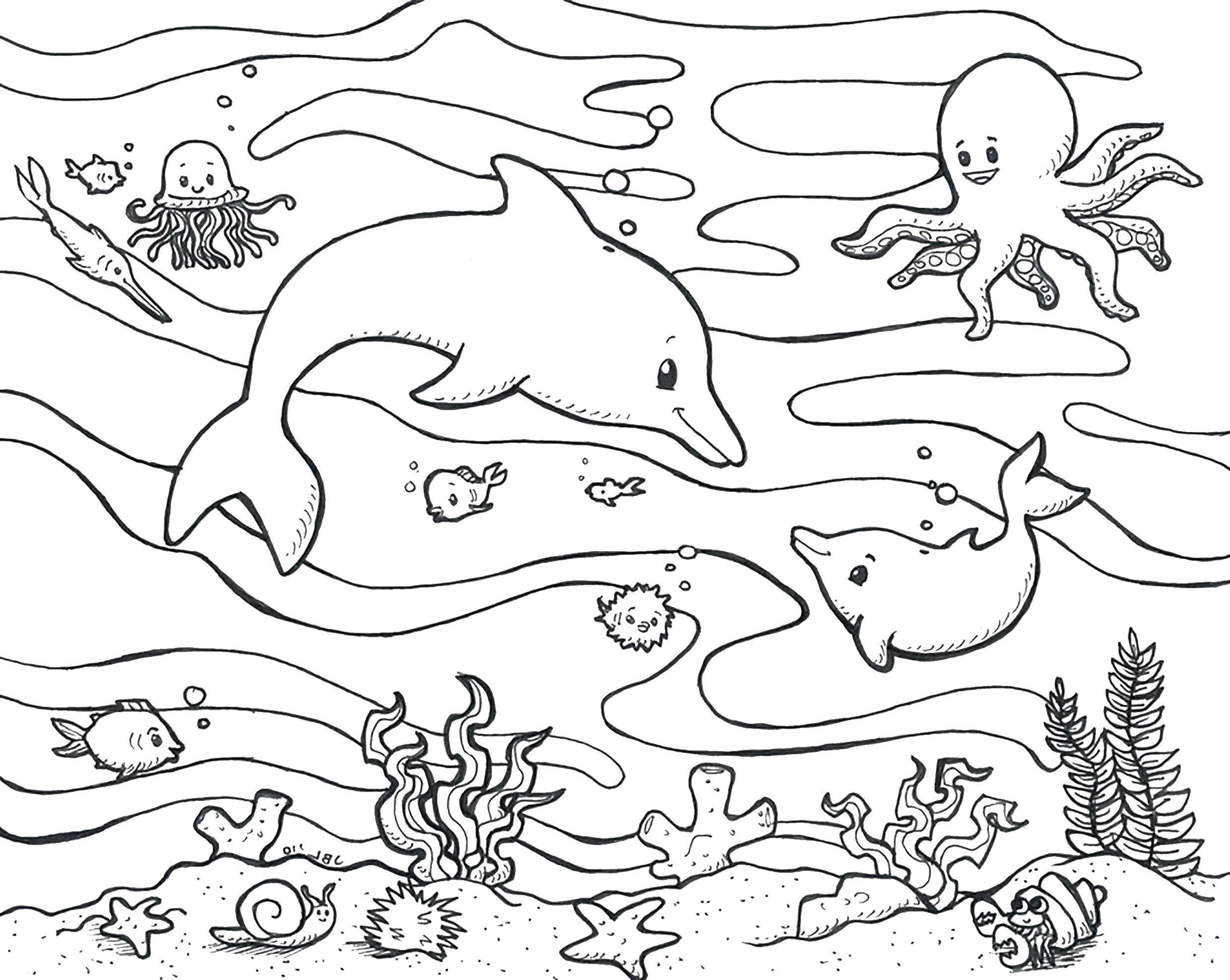Coloring Dolphins and octopus. Category marine animals. Tags:  octopus, dolphins.