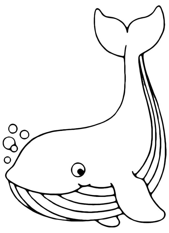 Название: Раскраска Китёнок. Категория: морское. Теги: Подводный мир, рыба, кит.