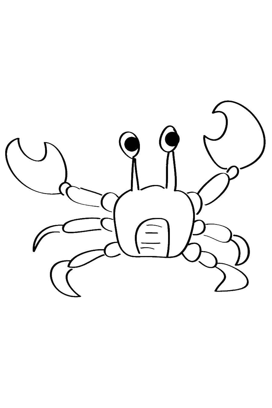 Coloring Crab. Category marine animals. Tags:  crab.
