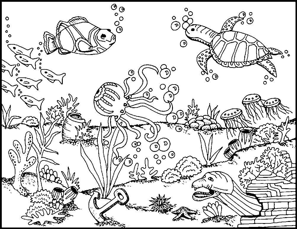 Название: Раскраска Морская жизнь. Категория: морское дно. Теги: Подводный мир, рыба.