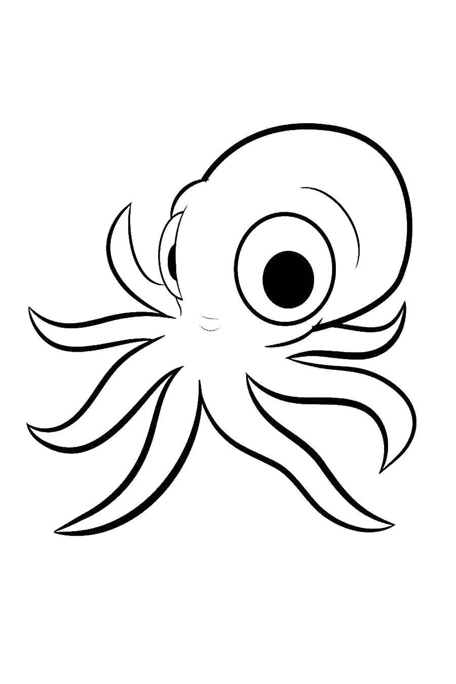 Coloring Octopus. Category marine animals. Tags:  Octopus.