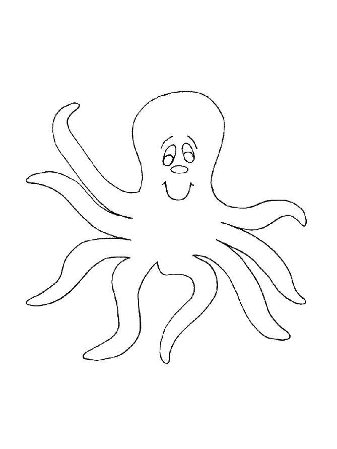 Coloring Octopus. Category octopus. Tags:  octopus.