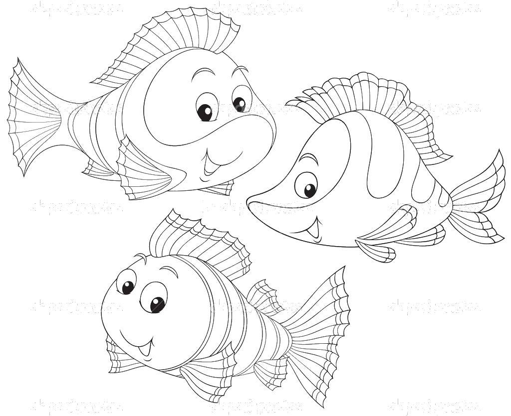 Coloring Fish friends. Category fish. Tags:  Underwater world, fish.