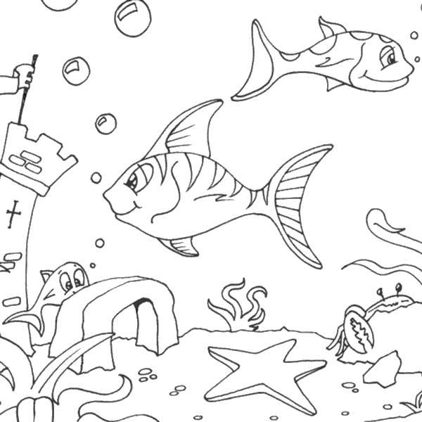 Название: Раскраска Рыбки плавают в воде. Категория: морское дно. Теги: Подводный мир, рыба.
