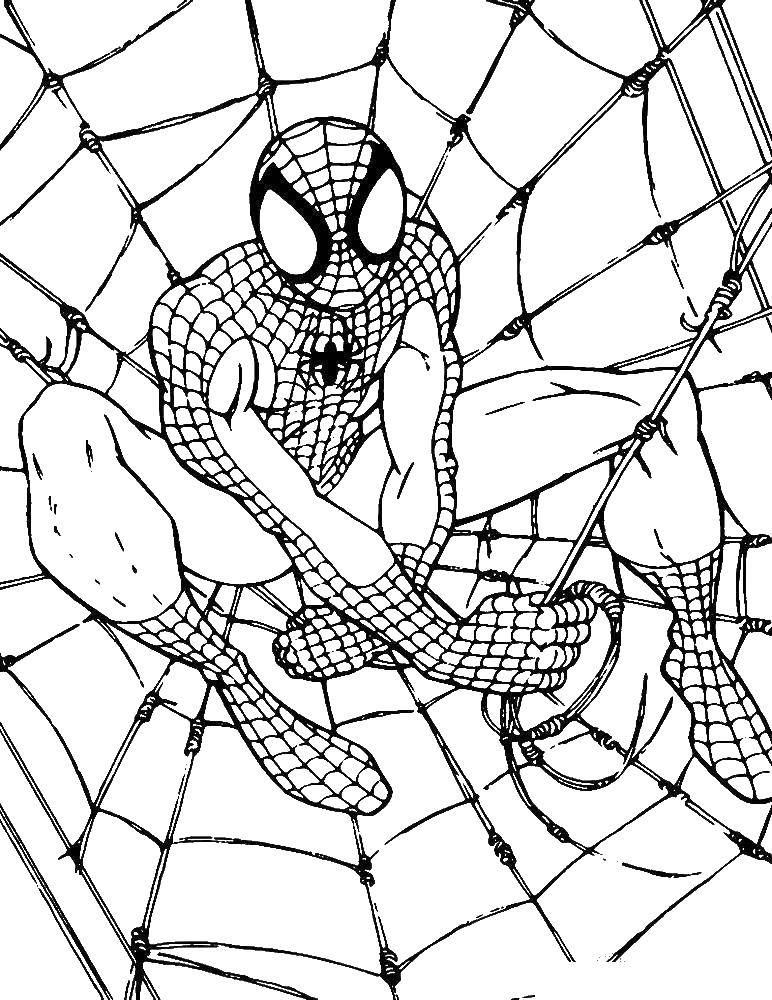 Coloring Spider-man. Category superheroes. Tags:  spider man, superheroes.