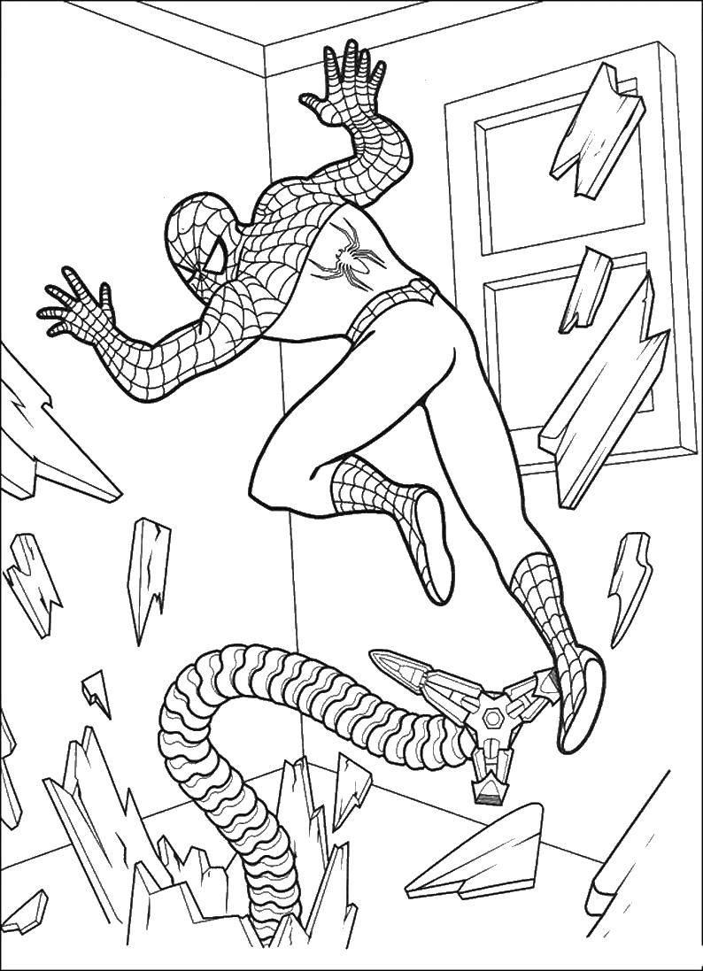 Розмальовки  Отто октавиус проти людини павука. Завантажити розмальовку людина павук, супергерої.  Роздрукувати ,людина павук,