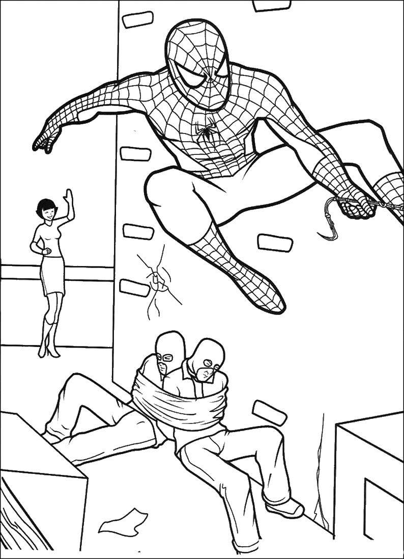 Coloring Spider-man catches criminals. Category spider man. Tags:  spider man, superheroes.