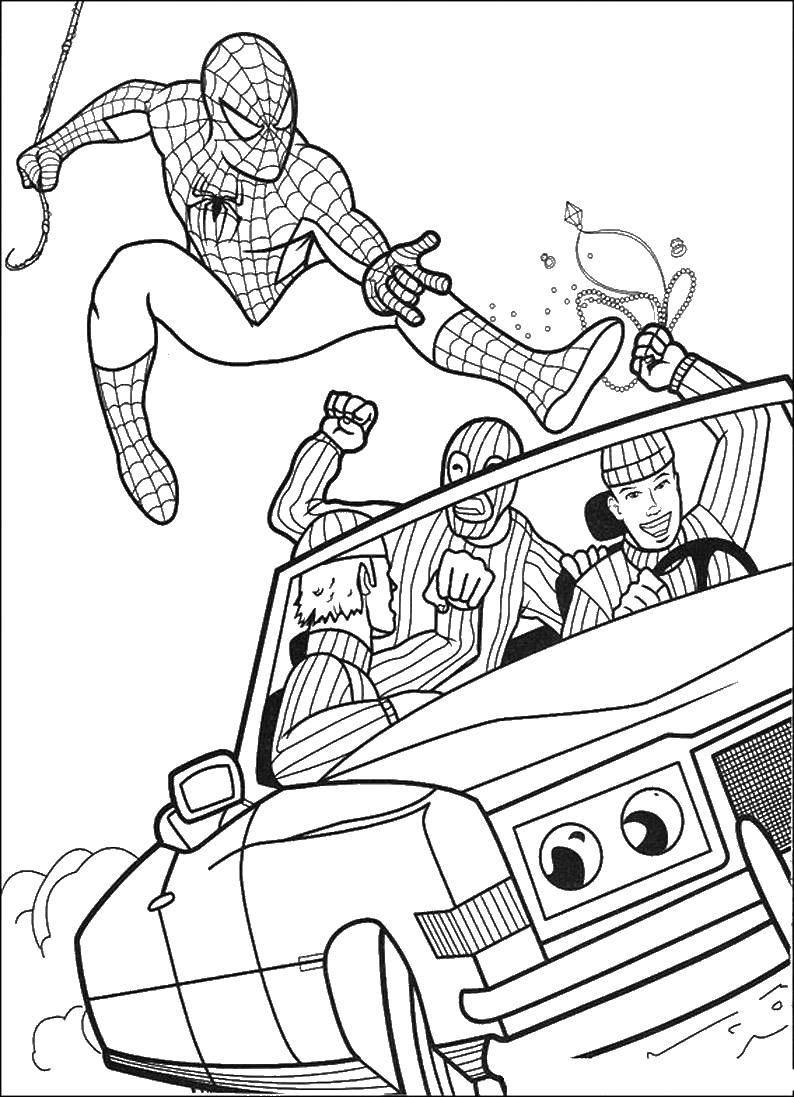Название: Раскраска Человек паук ловит бандитов. Категория: человек паук. Теги: человек паук, супергерои.