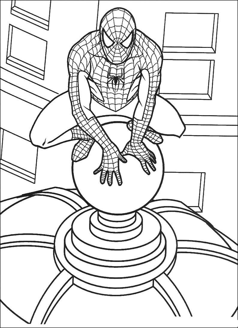 Название: Раскраска Человек паук. Категория: человек паук. Теги: человек паук.