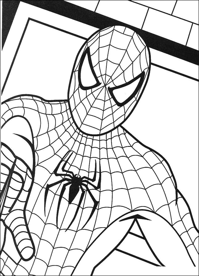 Название: Раскраска Человек паук. Категория: человек паук. Теги: человек паук, супергерои.