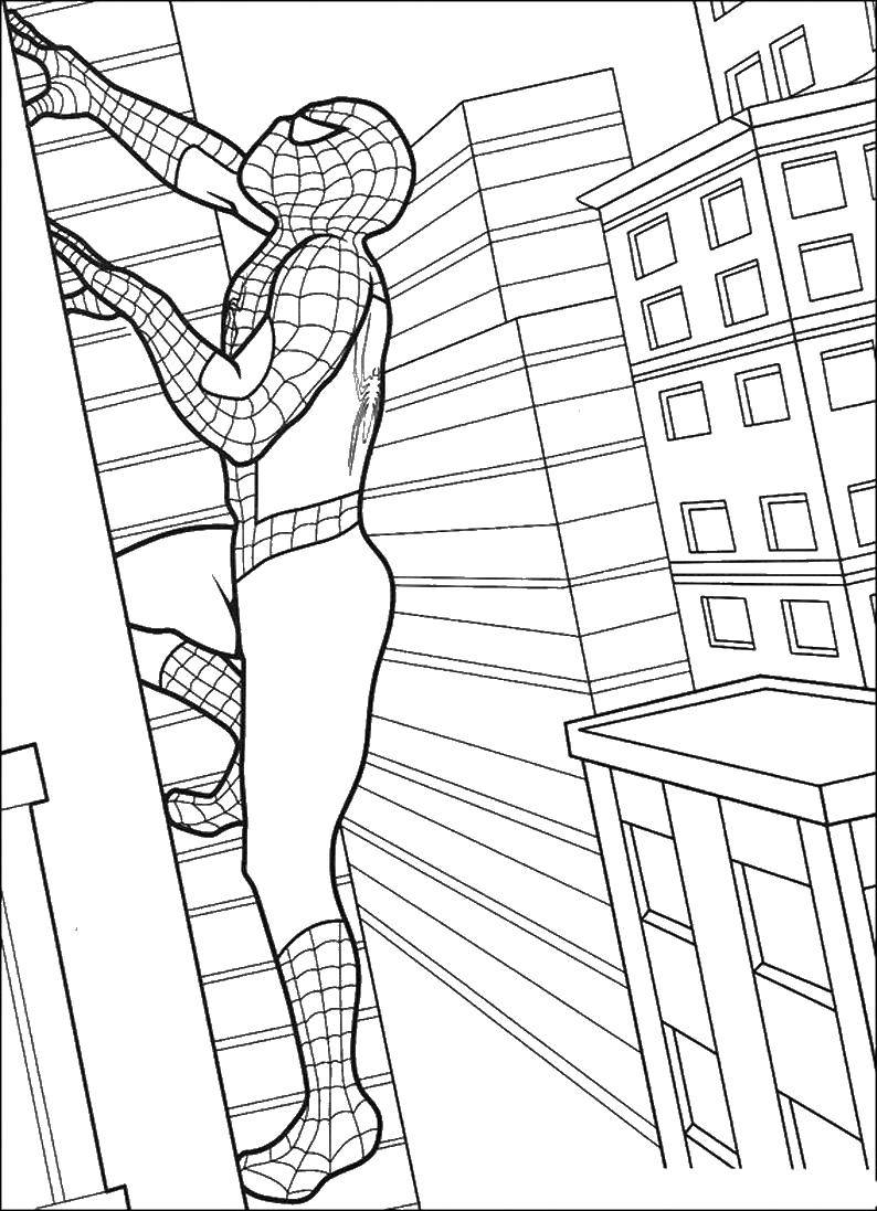 Coloring Spider-man. Category spider man. Tags:  spider man, superheroes.
