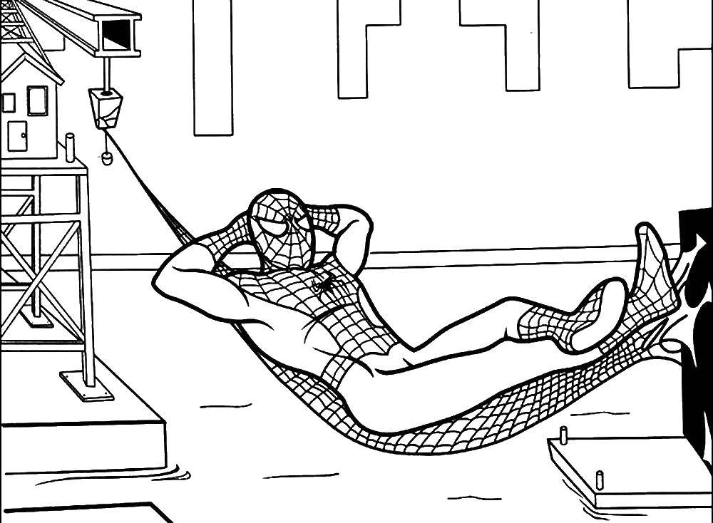 Розмальовки  Людина павук відпочиває в гамаку. Завантажити розмальовку людина павук, супергерої.  Роздрукувати ,людина павук,