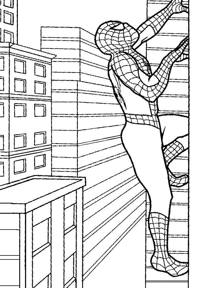 Название: Раскраска Человек паук карабкается по стене. Категория: человек паук. Теги: человек паук, супергерои.