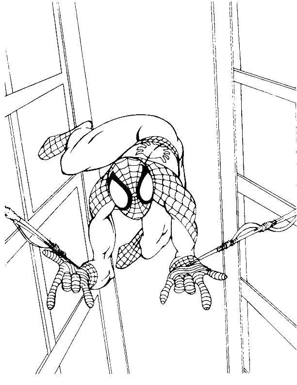 Coloring Spiderman on the web. Category spider man. Tags:  Comics, Spider-Man, Spider-Man.